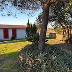 Monte Da Palmeira Feedme Farm
