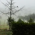 Monte Da Palmeira Feedme Farm Bicas