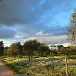 Monte Da Palmeira Feedme Farm Bicas