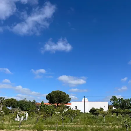 Monte Da Palmeira Feedme Farm B&B Bicas