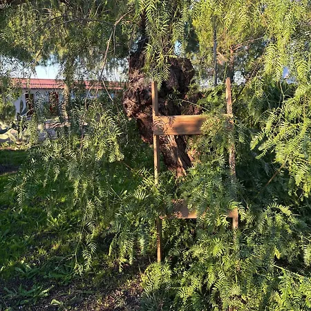 Monte Da Palmeira Feedme Farm B&B