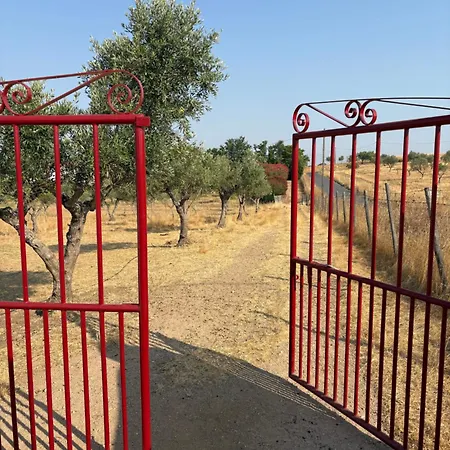 Monte Da Palmeira Feedme Farm * Bicas