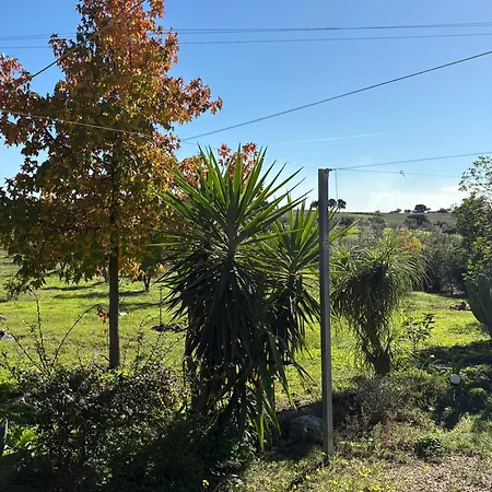 Monte Da Palmeira Feedme Farm B&B Bicas