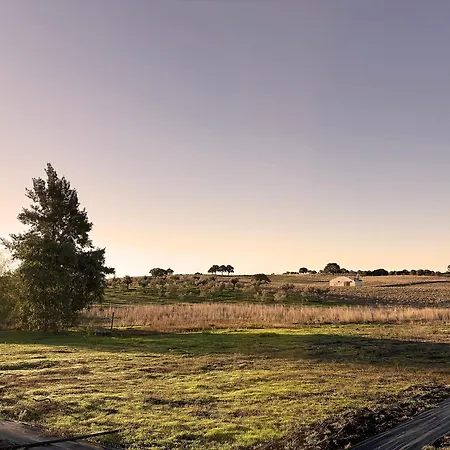 Monte Da Palmeira Feedme Farm *