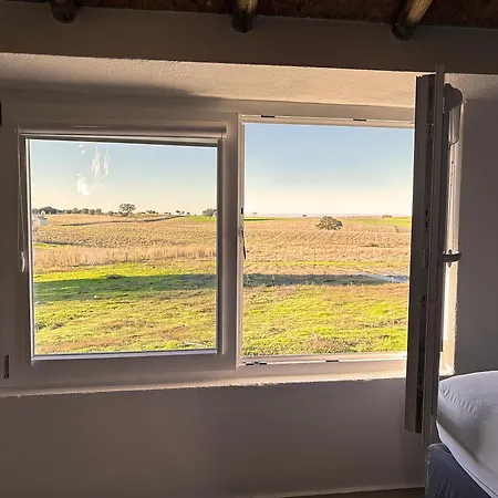 B&B Monte Da Palmeira Feedme Farm Bicas