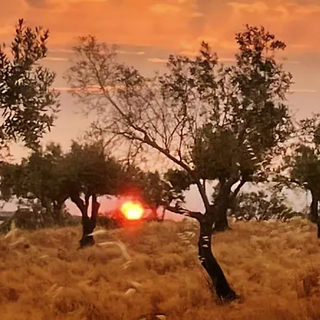 ベッド・アンド・ブレックファスト Monte Da Palmeira Feedme Farm *