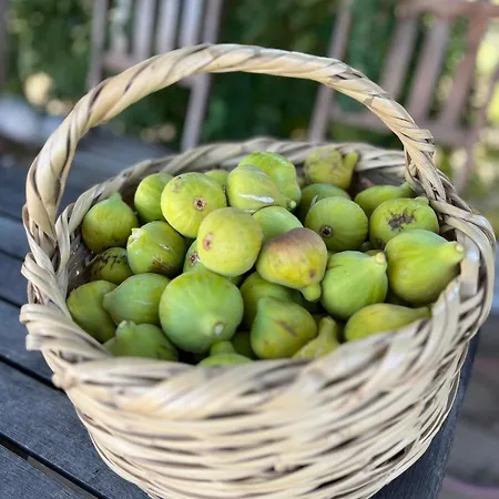 Monte Da Palmeira Feedme Farm Bicas