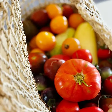 Monte Da Palmeira Feedme Farm B&B Bicas