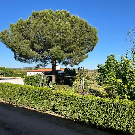 Monte Da Palmeira Feedme Farm Bicas