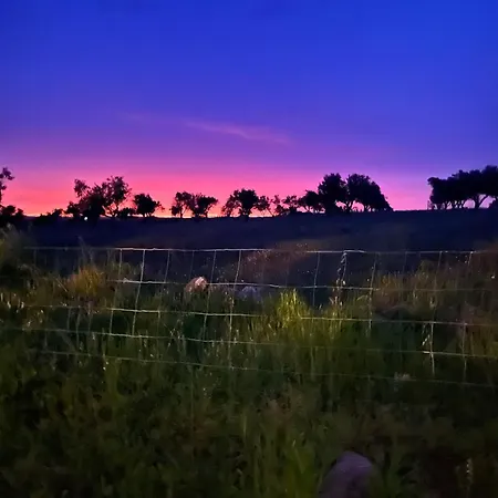 Monte Da Palmeira Feedme Farm ベッド・アンド・ブレックファスト