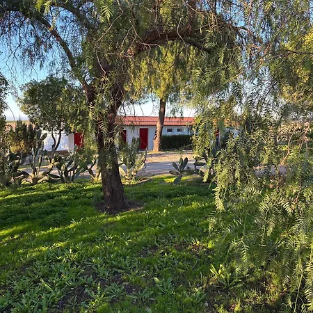 Monte Da Palmeira Feedme Farm *