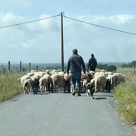 Monte Da Palmeira Feedme Farm B&B *