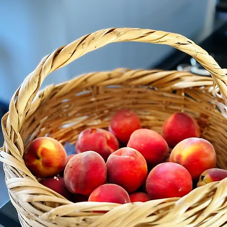 Monte Da Palmeira Feedme Farm