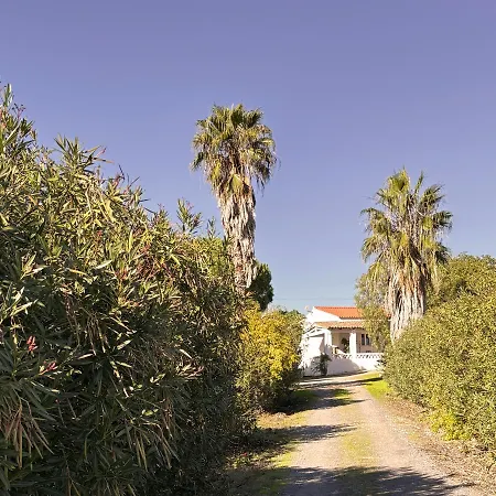 Monte Da Palmeira Feedme Farm Bicas