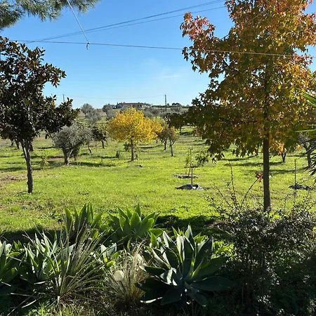 Monte Da Palmeira Feedme Farm * Bicas