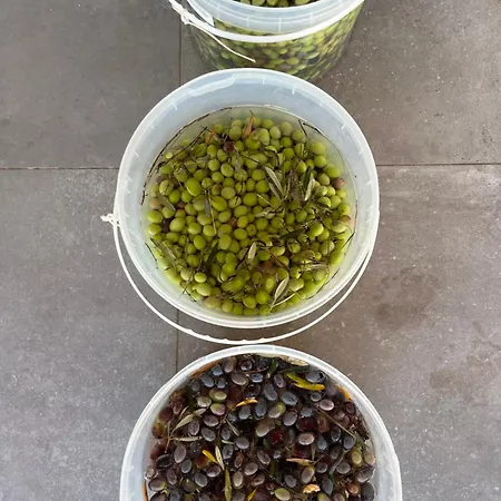 Monte Da Palmeira Feedme Farm * Bicas