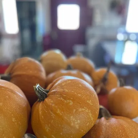 Monte Da Palmeira Feedme Farm * Bicas