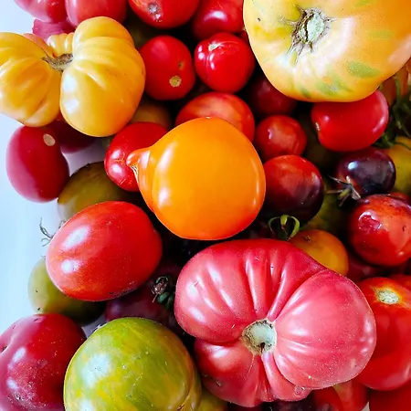 Monte Da Palmeira Feedme Farm