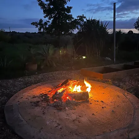 Monte Da Palmeira Feedme Farm ベッド・アンド・ブレックファスト *