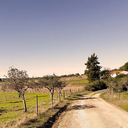 Monte Da Palmeira Feedme Farm