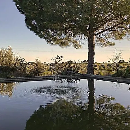 Monte Da Palmeira Feedme Farm