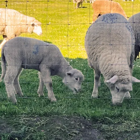 Monte Da Palmeira Feedme Farm