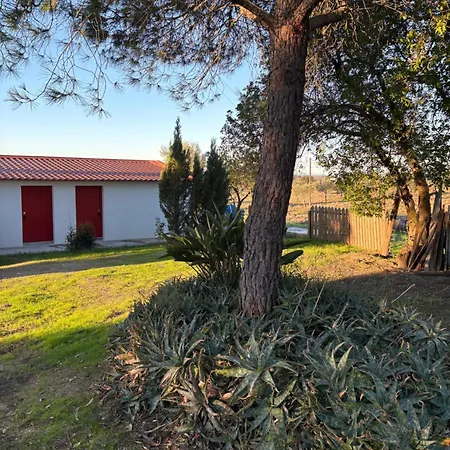 Monte Da Palmeira Feedme Farm