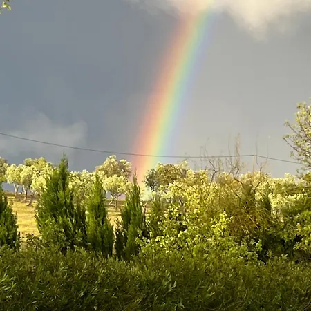 Monte Da Palmeira Feedme Farm ベッド・アンド・ブレックファスト