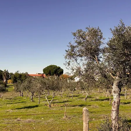 Monte Da Palmeira Feedme Farm *