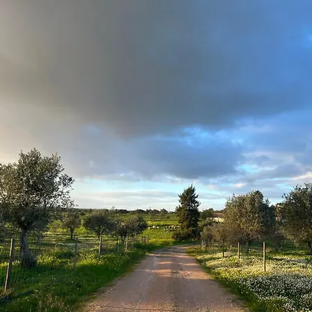 Bed & Breakfast Monte Da Palmeira Feedme Farm *