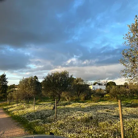 Monte Da Palmeira Feedme Farm Bicas