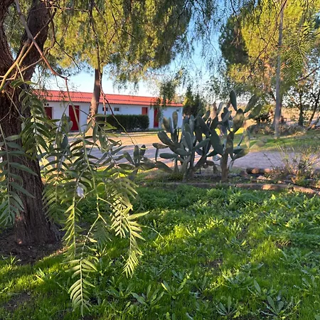 Monte Da Palmeira Feedme Farm Bicas