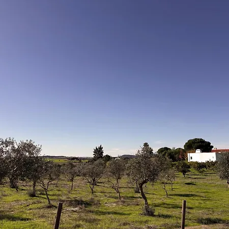 Bed & Breakfast Monte Da Palmeira Feedme Farm Bicas