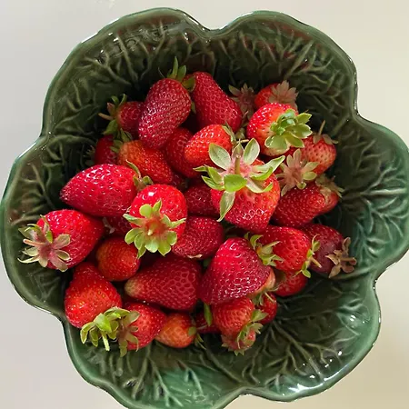 Monte Da Palmeira Feedme Farm Bicas