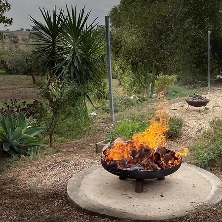 Monte Da Palmeira Feedme Farm B&B *