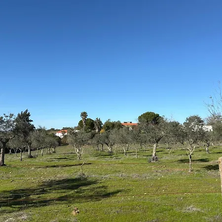 Monte Da Palmeira Feedme Farm Bicas