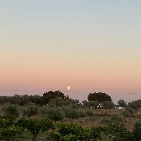 B&B Monte Da Palmeira Feedme Farm