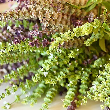 Monte Da Palmeira Feedme Farm * Bicas