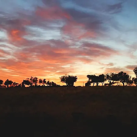 ベッド・アンド・ブレックファスト Monte Da Palmeira Feedme Farm Bicas