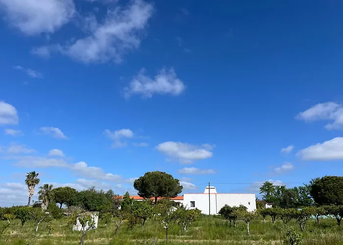 Monte Da Palmeira Feedme Farm Bed and breakfast Bicas