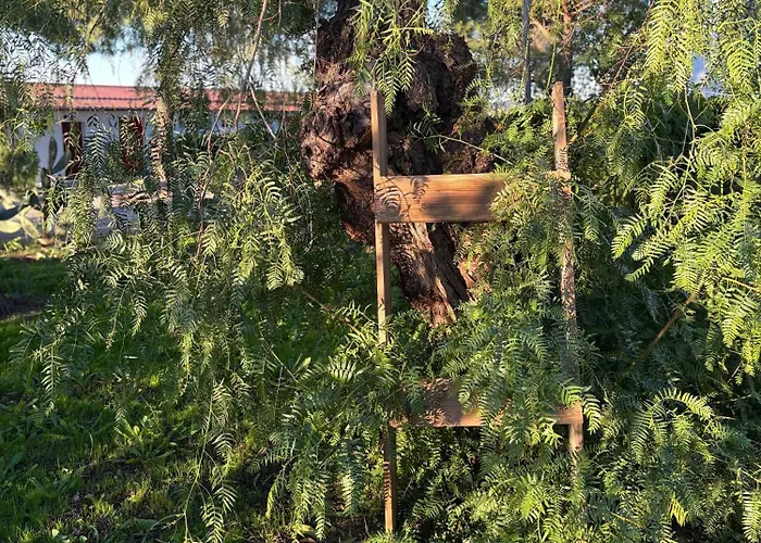 Monte Da Palmeira Feedme Farm 住宿加早餐酒店