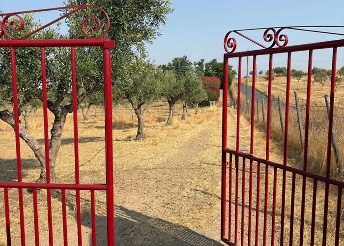 Monte Da Palmeira Feedme Farm * Bicas