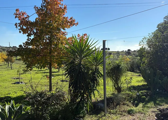 Monte Da Palmeira Feedme Farm Bed and breakfast Bicas