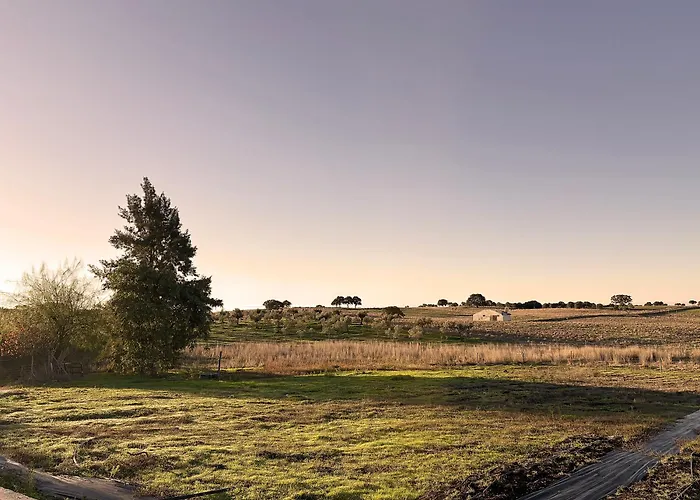 Monte Da Palmeira Feedme Farm *