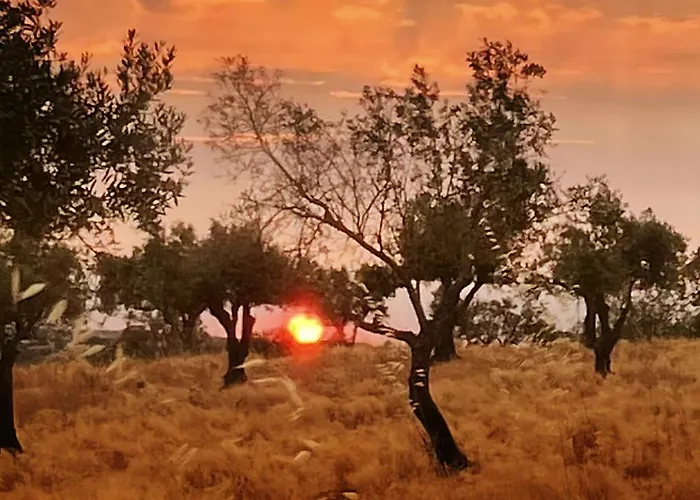 住宿加早餐酒店 Monte Da Palmeira Feedme Farm *