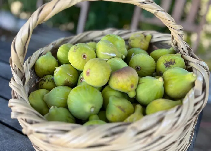 Monte Da Palmeira Feedme Farm Bicas