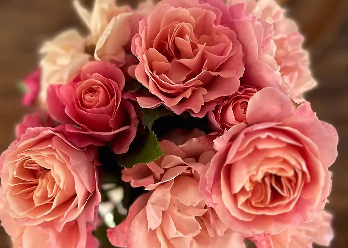 Monte Da Palmeira Feedme Farm Bed and breakfast