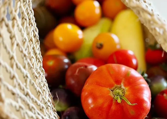 Monte Da Palmeira Feedme Farm Nocleg ze śniadaniem Bicas