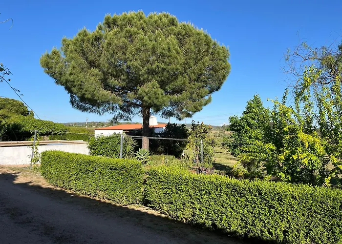 Monte Da Palmeira Feedme Farm Bicas