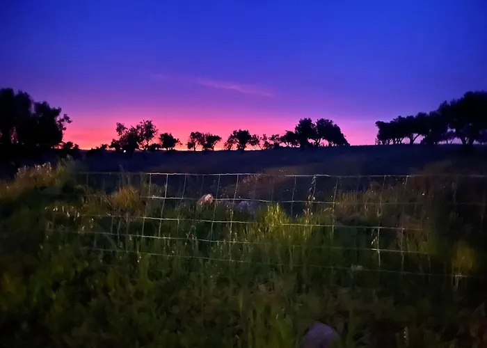 Monte Da Palmeira Feedme Farm Frühstückspension